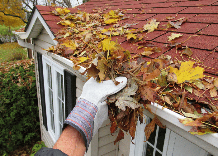 Person wearing a work glove cleaning fallen autumn leaves from a rain gutter on a house with a red shingle roof, highlighting seasonal home maintenance.